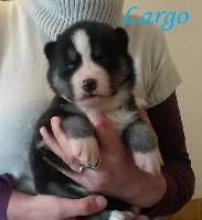 Largo